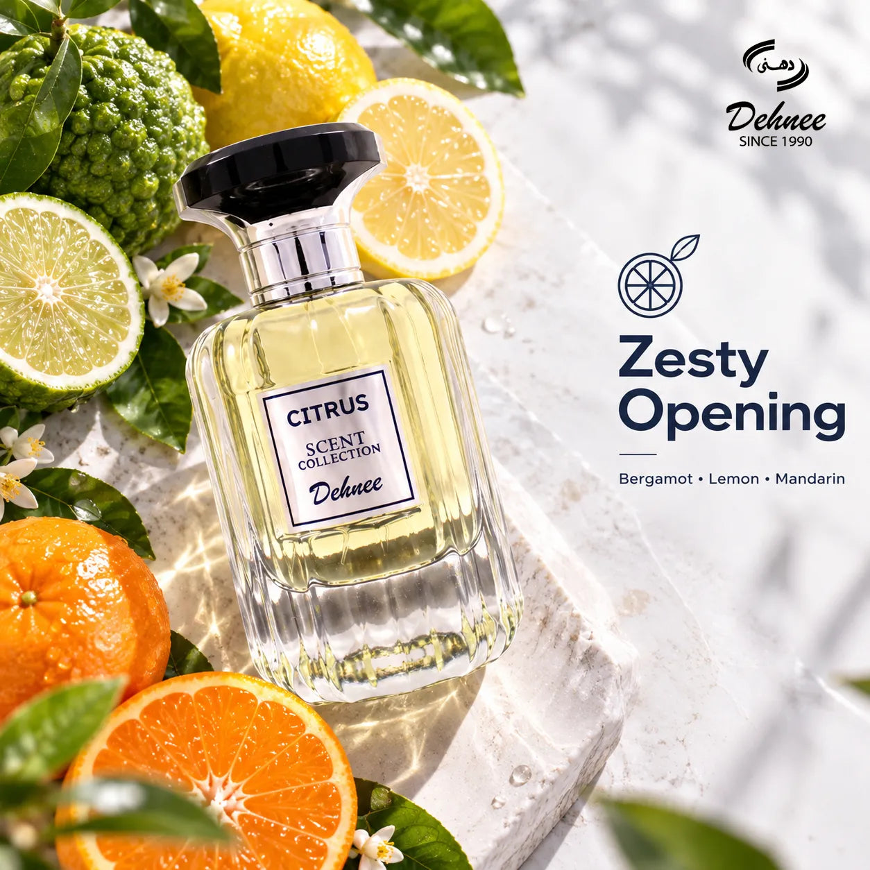 Citrus Eau de Parfum 100ml | Bergamot Lavender Men's Cologne | Dehnee UAE