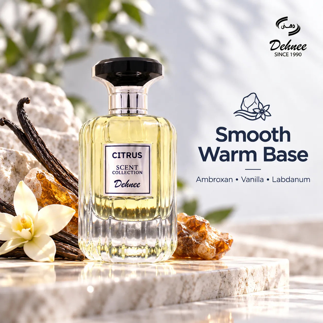 Citrus Eau de Parfum 100ml | Bergamot Lavender Men's Cologne | Dehnee UAE